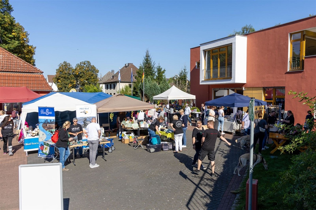 Galerie-Bild 3