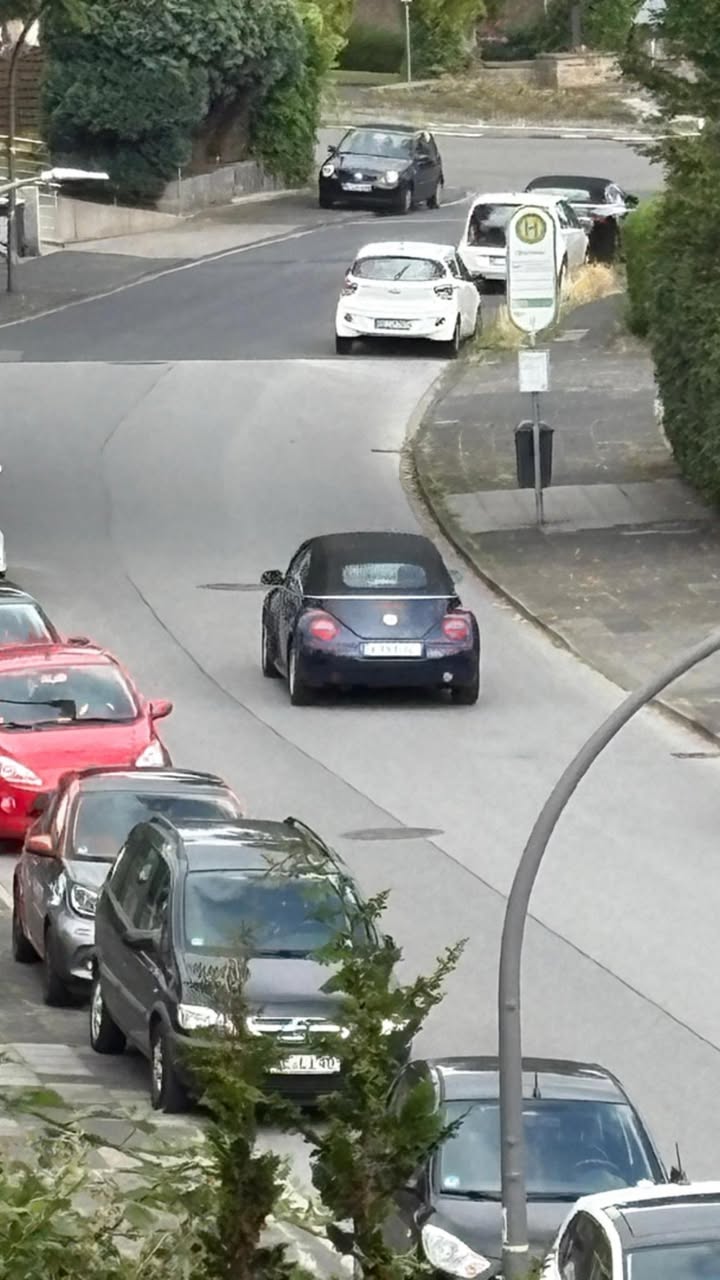 Galerie-Bild 1