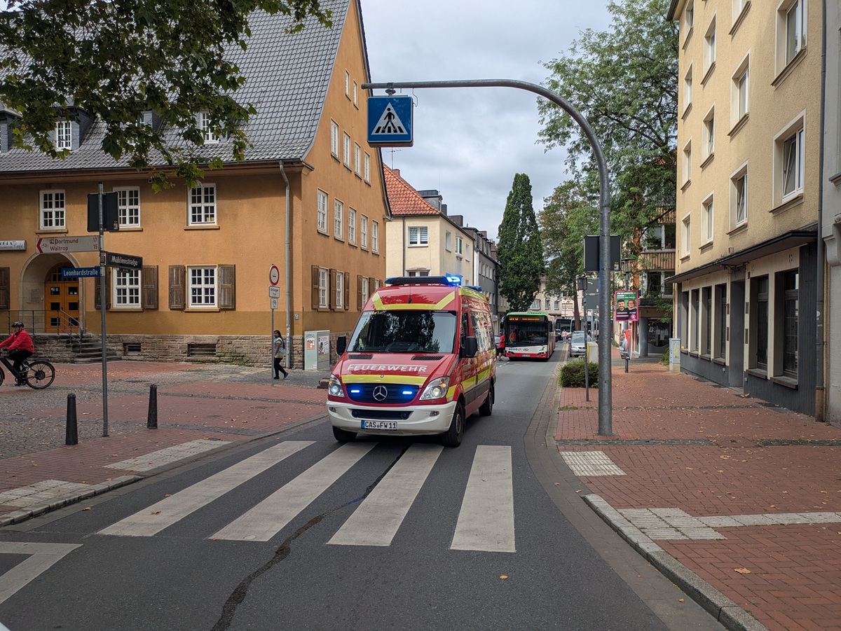 Galerie-Bild 2